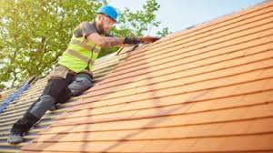 Best Roof Moss and Algae Removal  in Kenly, NC