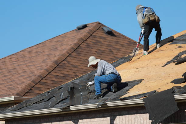 Best Roof Ventilation Installation  in Kenly, NC