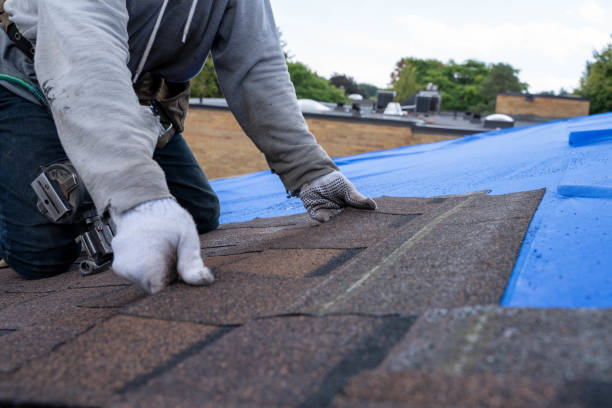 Best Chimney Flashing Repair  in Kenly, NC