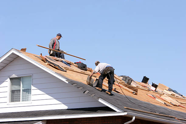 Best Roof Maintenance and Cleaning  in Kenly, NC